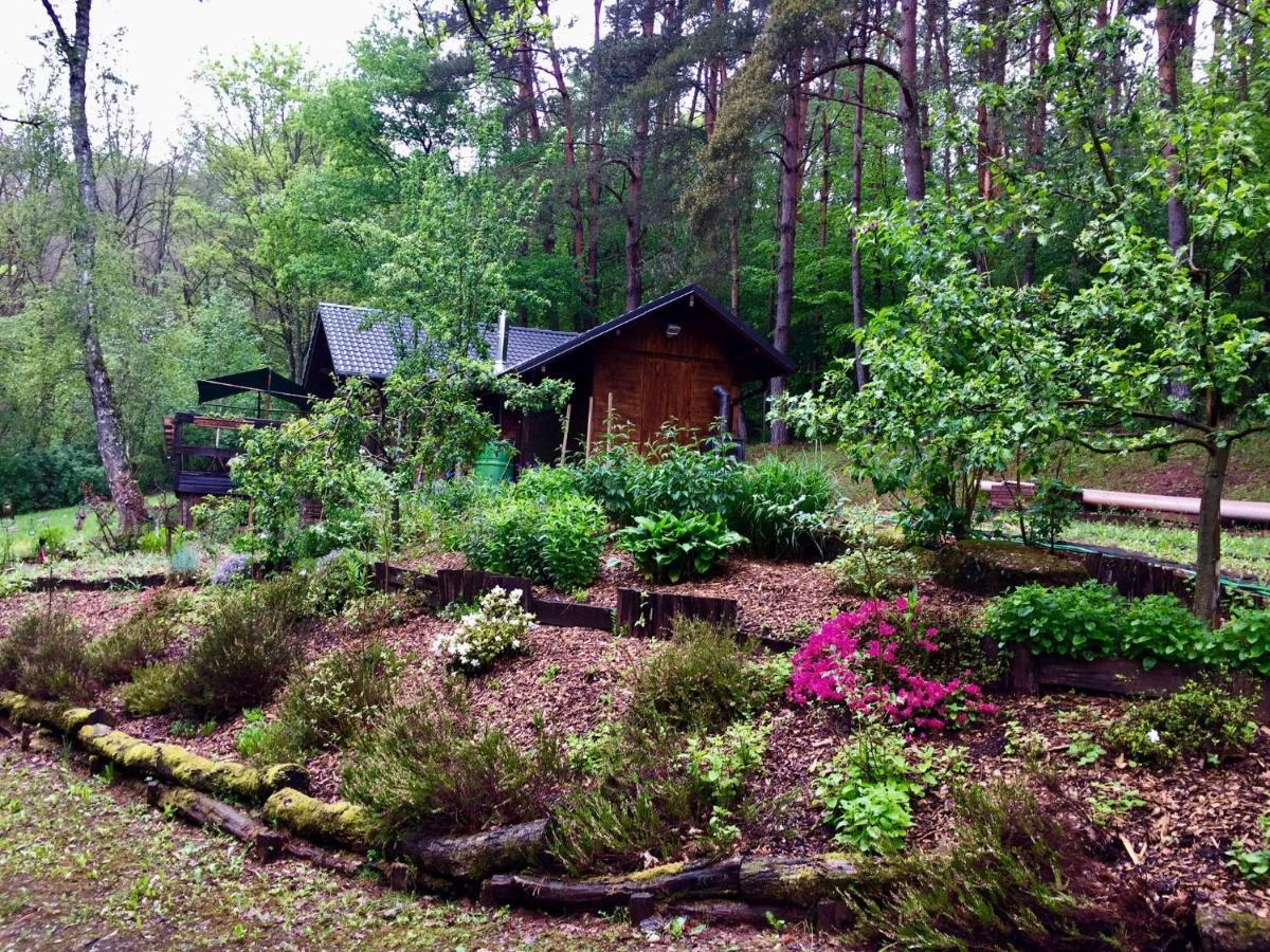 Cosy Chalet With Private Sauna In Bousseviller 客房 照片